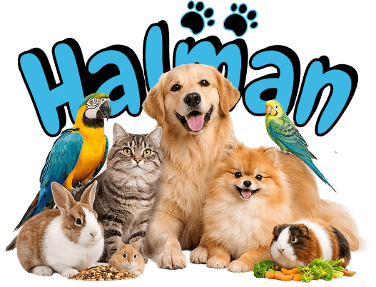 Halman Pet’i Tanıyın
